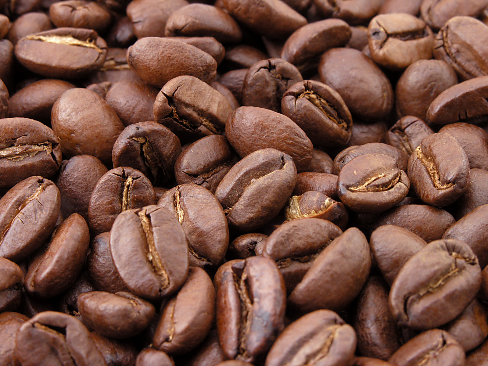 Welcome to Shikhara Coffee !